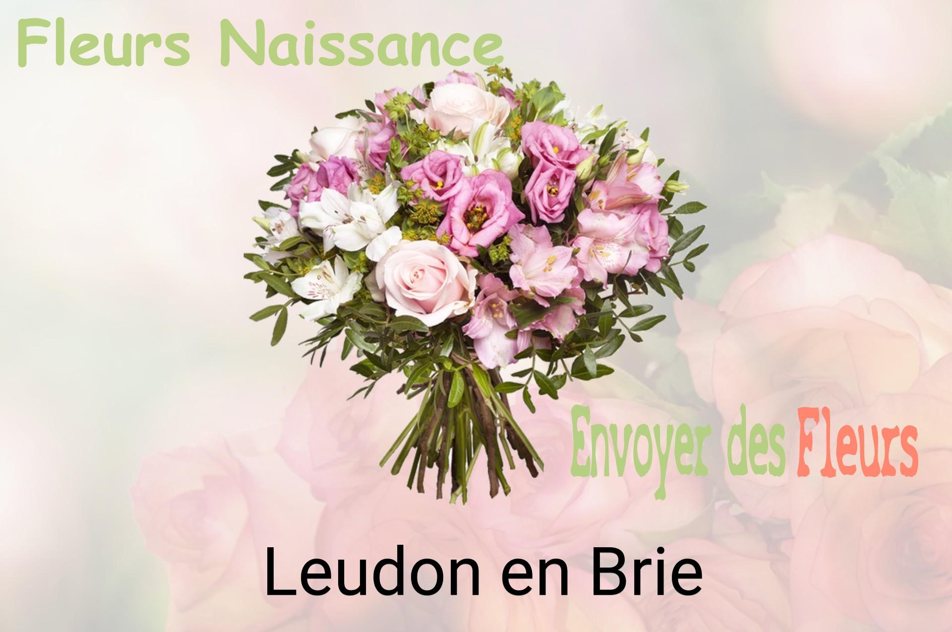 Bouquet de fleurs de naissance livré à Leudon-en-Brie